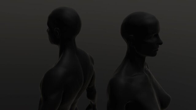 Male and Woman figure rotation loop - Close-up shots- BLACK - 3d animation model on a black background