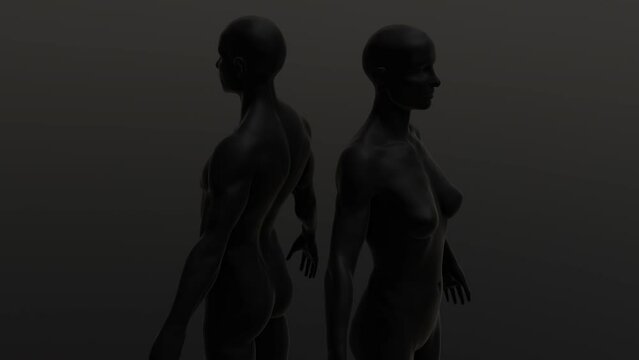 Male and Woman figure rotation loop - Medium shots- BLACK - 3d animation model on a black background