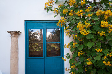 Vista de un patio cordobés con una columna, una puerta azul y un arbusto con flores.