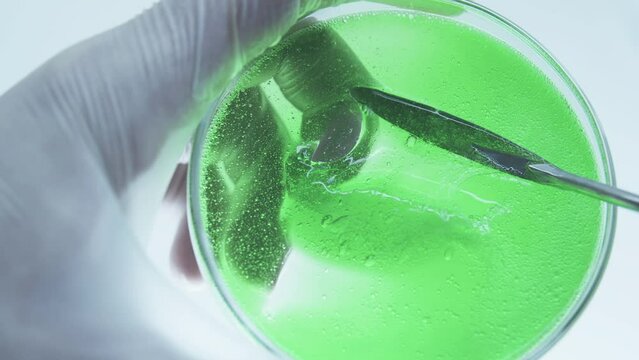 Substance from marine plants and algae. Biofuel. Nutrient biomass. Petri dish with green liquid and air bubbles. Aloe vera gel. Cosmetics production. Mixing ingredients.