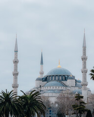 Fototapeta na wymiar Blue Mosque from the outside, Istanbul