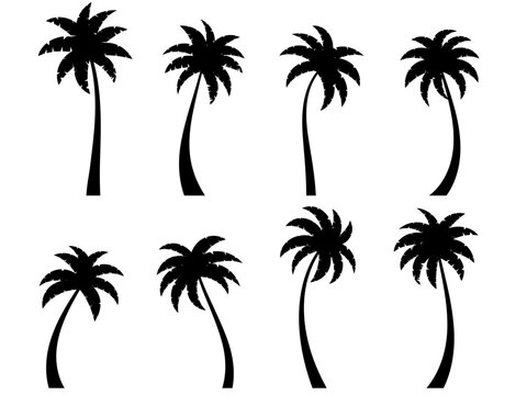 Black curved palm trees set isolated on white background. Bent palm silhouettes. Design of palm trees for posters, banners and promotional items. Vector illustration