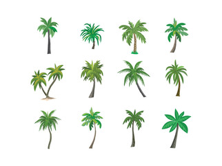 Fototapeta na wymiar different variant palm tree collection vector illustration. isolated on a white artboard
