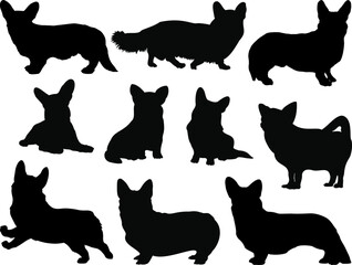 Set of Corgi Dogs Silhouette