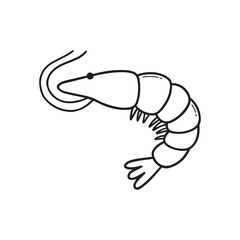 Shrimp doodle set.  Seafood in sketch style. Hand drawn vector illustration isolated on white background