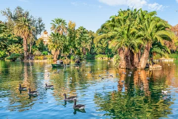 Fotobehang Barcelona, Spain - November 26, 2021: Couples in love paddle among waterfowl on a lake in Parc de la Ciutadella in Barcelona. Palm trees and the sky are reflected in the pond water in an urban oasis © ioanna_alexa