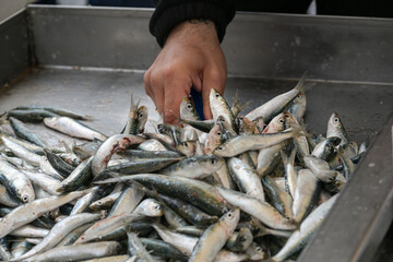 Hand of a fisherman taking fish for sale from a vessel full of fresh sardines at the market, copy...