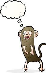 cartoon crazy monkey with thought bubble