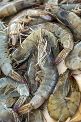 Fresh raw shrimps from the Mediterranean sea for sale at a Greek fish market on the stall of a fisherman, selected focus, vertical