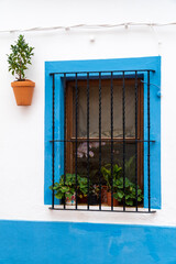 Window with the edge painted blue, decorated with plants, in the traditional Mediterranean style