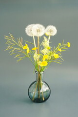 Still life with yellow buttercups and white dandelions in a glass vase on a gray background. Japanese art of flower arrangement. Ikebana arrangement.	