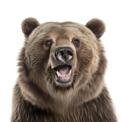 ai generated Illustration of close up of brown bear against  white background