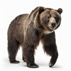 ai generated Illustration full length of brown bear against  white background