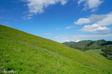 Lush and green hills in San Ramon, California