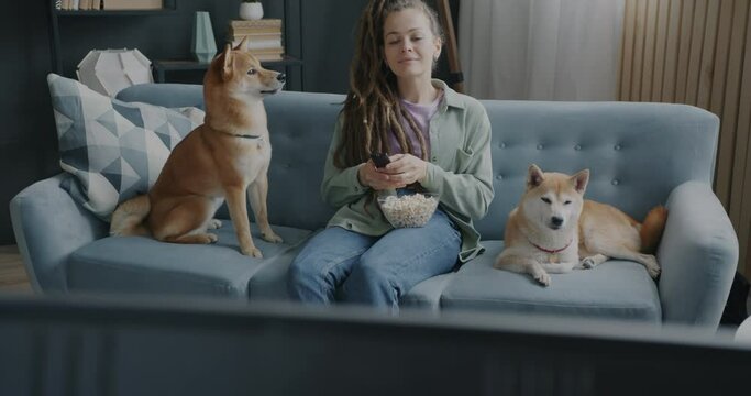 Girl watching TV and caressing adorable shiba inu dogs relaxing on couch in apartment. Leisure activity and entertainment with pets concept.