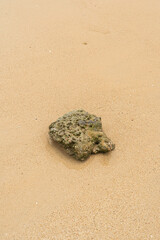 sea
sand
