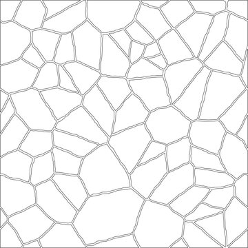 Collection of repeatable ornamental vector patterns.black and white gray scale geometric pattern background. 