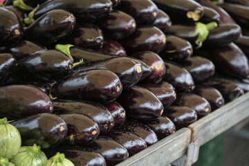 Fresh and shiny eggplants piled up for sale on a market stall, vegetable ingredient for Mediterranean dishes, selected focus