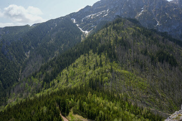 Wzgórza, tatry góry i drzewa