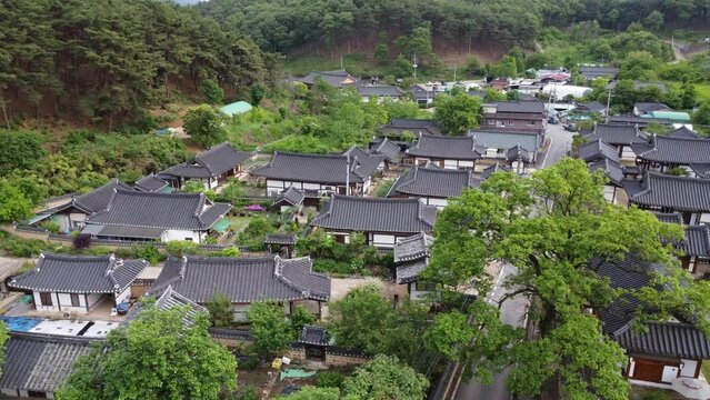 대구하빈 묘리전경