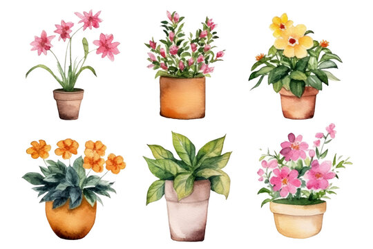 Watercolor of minimal Flowers Houseplant blooming isolated on clear png background, elements natural botanical, leaves, flowers and herbs, set of tree plant collection, with Generative Ai.