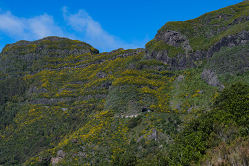 beautiful landscape in Madeira island
