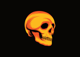 human skull