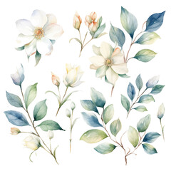 Set of white bloom floral watecolor. flowers and leaves. Floral poster, invitation floral. Vector arrangements for greeting card or invitation design