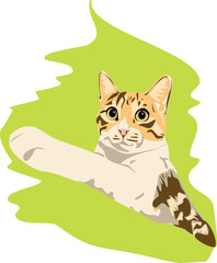 cat with green grass