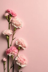 Mother's Day gift idea concept. Top vertical view flat lay of charming pink carnation flowers on a pastel pink background with empty space, Generative AI