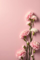 Mother's Day gift idea concept. Top vertical view flat lay of charming pink carnation flowers on a pastel pink background with empty space, Generative AI