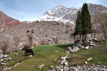 The Fann Mountains  in western region of Tajikistan - 608382439