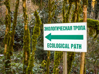 Signpost "Ecological trail" in the forest