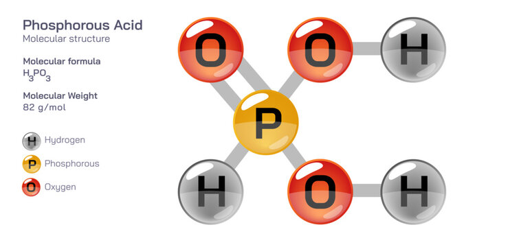 Phosphorous Acid molecular structure formula. Periodic table structural molecular formula Vector design. Pharmaceutical compounds and composition. Easily printable product with correct CPK colour.
