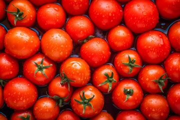 Lots of fresh ripe tomatoes with drops of dew.  AI Generated