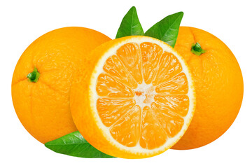 Oranges on an isolated white background.