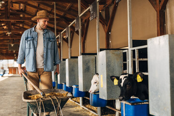 Front view of a happy man bringing hay for the cows.