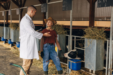 A veterinarian doing a health check on a cute calf at the animal farm with a cowgirl.