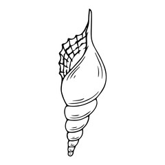 Seashells sketch set. Vector graphics.	
