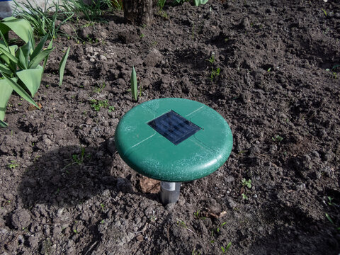 Ultrasonic, solar-powered mole repellent or repeller device in the soil in a vegetable bed in the garden