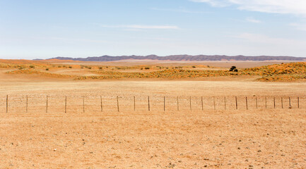 A view of desert landscape