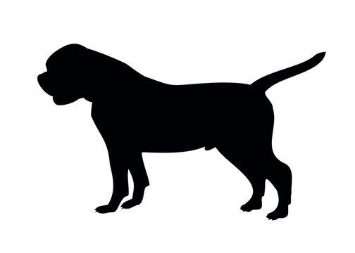 american bulldog black silhouette of a standing dog