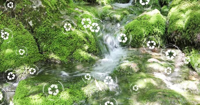 Mossy stones in a sunny virgin creek with recycle icons animation