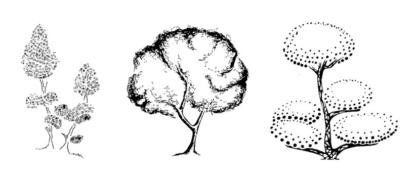 Set of tree Minimal style cad tree stilization line graphics trees elements outline symbol for architecture and landscape design drawing. Vector illustration isolated on white background