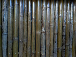 bamboo trees arranged in the pattern