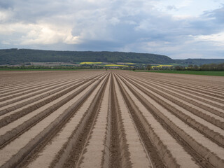 The field  at spring with furrows