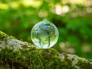 glass earth globe in the forest
