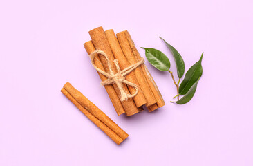 Bunch of cinnamon sticks and plant branch on color background