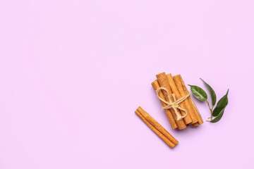 Bunch of cinnamon sticks and plant branch on color background