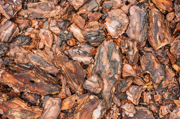 Background, texture of pieces of brown wet after rain coniferous, spruce bark. Photo of nature, top...